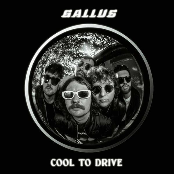 Gallus Cool To Drive Punk Rock Theory