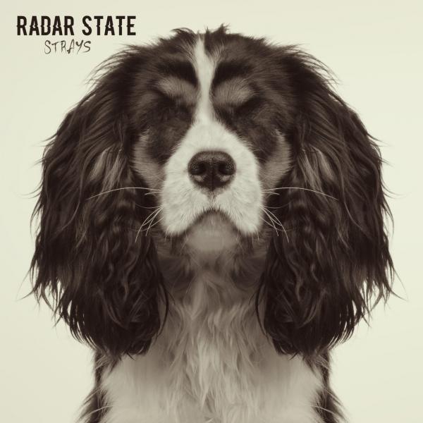 Radar State Strays Punk Rock Theory