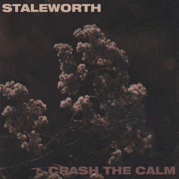 Staleworth / Crash The Calm Split