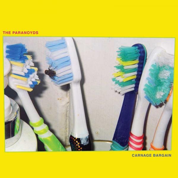 The Paranoyds Carnage Bargain Punk Rock Theory